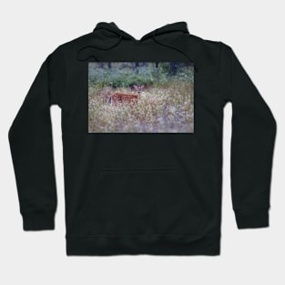 White Tailed Deer Fawn in Queen Anne's Lace Hoodie